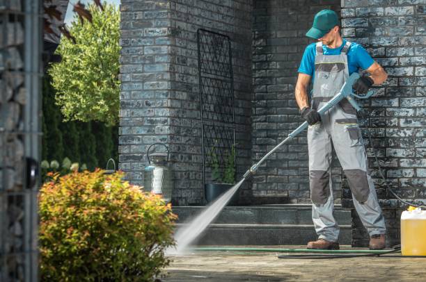 Best Rust Removal  in Park Ridge, IL