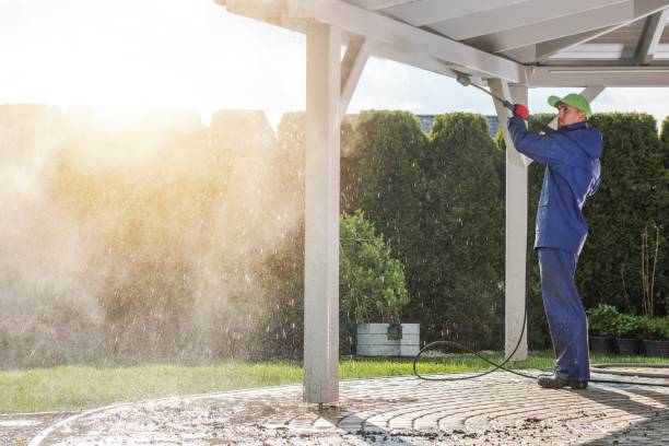 Best Solar Panel Cleaning  in Park Ridge, IL